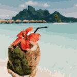 Картина по номерам Кокосовые Мальдивы (Brushme PGX28164)