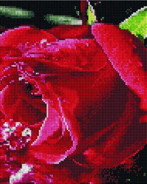 Алмазная мозаика Красная роза (Brushme EF984)