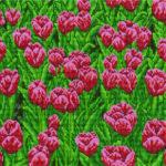 Алмазная мозаика Поле розовых тюльпанов (Brushme GF200)