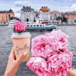 Картина по номерам Прогулка с пионами (Brushme GX34168)