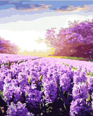 Картина по номерам Лаванда под Солнцем (Brushme GX21767)