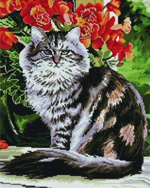 Алмазная мозаика Пушистый кот (Brushme GF675)