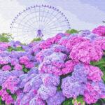 Картина по номерам Вид на гортензию (Brushme GX32307)