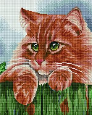 Алмазная мозаика Зеленоглазый кот (Brushme GF771)