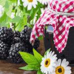 Картина по номерам Ежевичное варенье (Brushme GX34627)