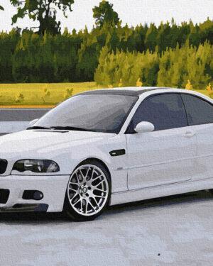 Картина по номерам Белый BMW (Brushme GX33801)