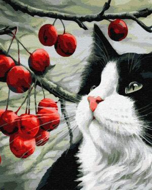 Картина по номерам Кот и ягоды (Brushme GX32534)