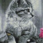 Алмазная мозаика Котёнок (Brushme GF3982)
