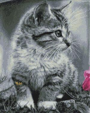 Алмазная мозаика Котёнок (Brushme GF3982)