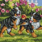 Алмазная мозаика Щенки с мячиком (Brushme GF3483)