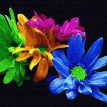 Картина по номерам Яркие хризантемы (Brushme GX25177)