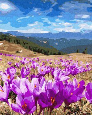 Картина по номерам Долина крокусов (Brushme GX27318)