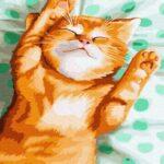 Картина по номерам Котик Рижун (Brushme GX35225)