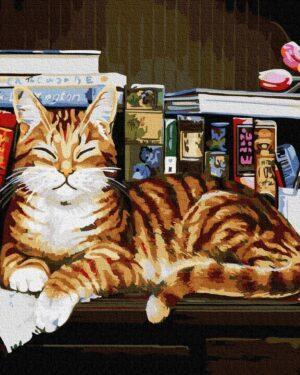 Картина по номерам Кот на книжной полке (Brushme GX4142)