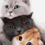 Картина по номерам Котики — муркотики (Brushme GX34826)