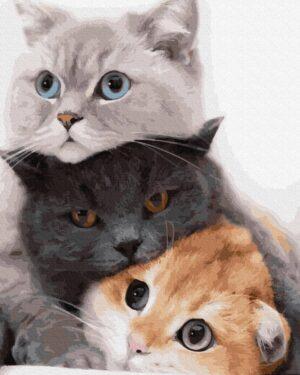 Картина по номерам Котики — муркотики (Brushme GX34826)