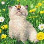 Картина по номерам Котик с бабочкой на носу (Brushme GX36566)
