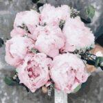 Картина по номерам Пионы для невесты (Brushme GX37530)