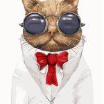 Картина по номерам Кот в очках (Brushme GX9391)