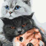 Картина по номерам Котики — муркотики (Brushme BS34826)