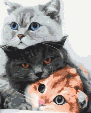 Картина по номерам Котики — муркотики (Brushme BS34826)