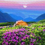Картина по номерам Палатка в живописных горах (Brushme GX32035)