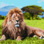 Алмазная картина-раскраска Царственный лев (Brushme GZS1092)