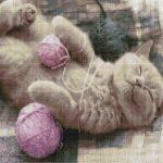 Алмазная мозаика Котик в клубочке (Brushme GF4801)