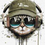 Картина по номерам DJ Кот (Brushme GX35798)