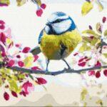 Картина по номерам Весенняя синичка (Brushme BS51439)