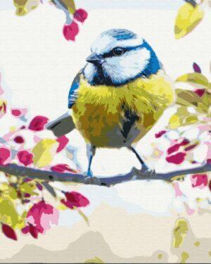 Картина по номерам Весенняя синичка (Brushme BS51439)