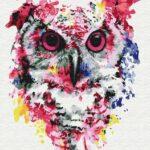 Картина по номерам Сова в красках (Brushme BS26136)