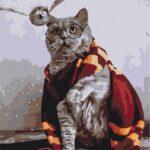 Картина по номерам Котик ловец снитча (Brushme BS36543)