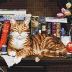 Картина по номерам Кот на книжной полке (Brushme BS4142)