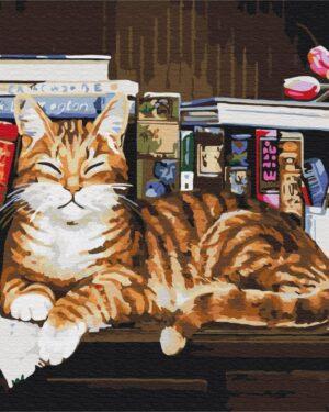 Картина по номерам Кот на книжной полке (Brushme BS4142)
