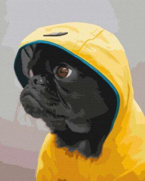 Картина по номерам Мопс в худи (Brushme BS52614)