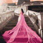 Картина по номерам Прием во дворце (Brushme BS52709)