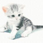 Картина по номерам Котенок акварелью (Brushme GT66034)