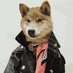 Картина по номерам Стильный пес @rocky.and.rudy (Brushme GX36668)