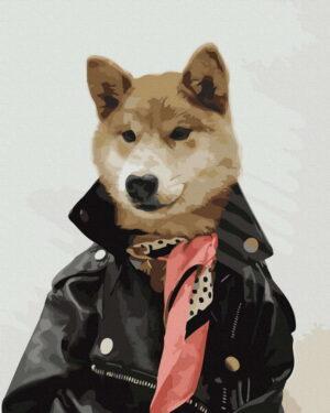 Картина по номерам Стильный пес @rocky.and.rudy (Brushme GX36668)