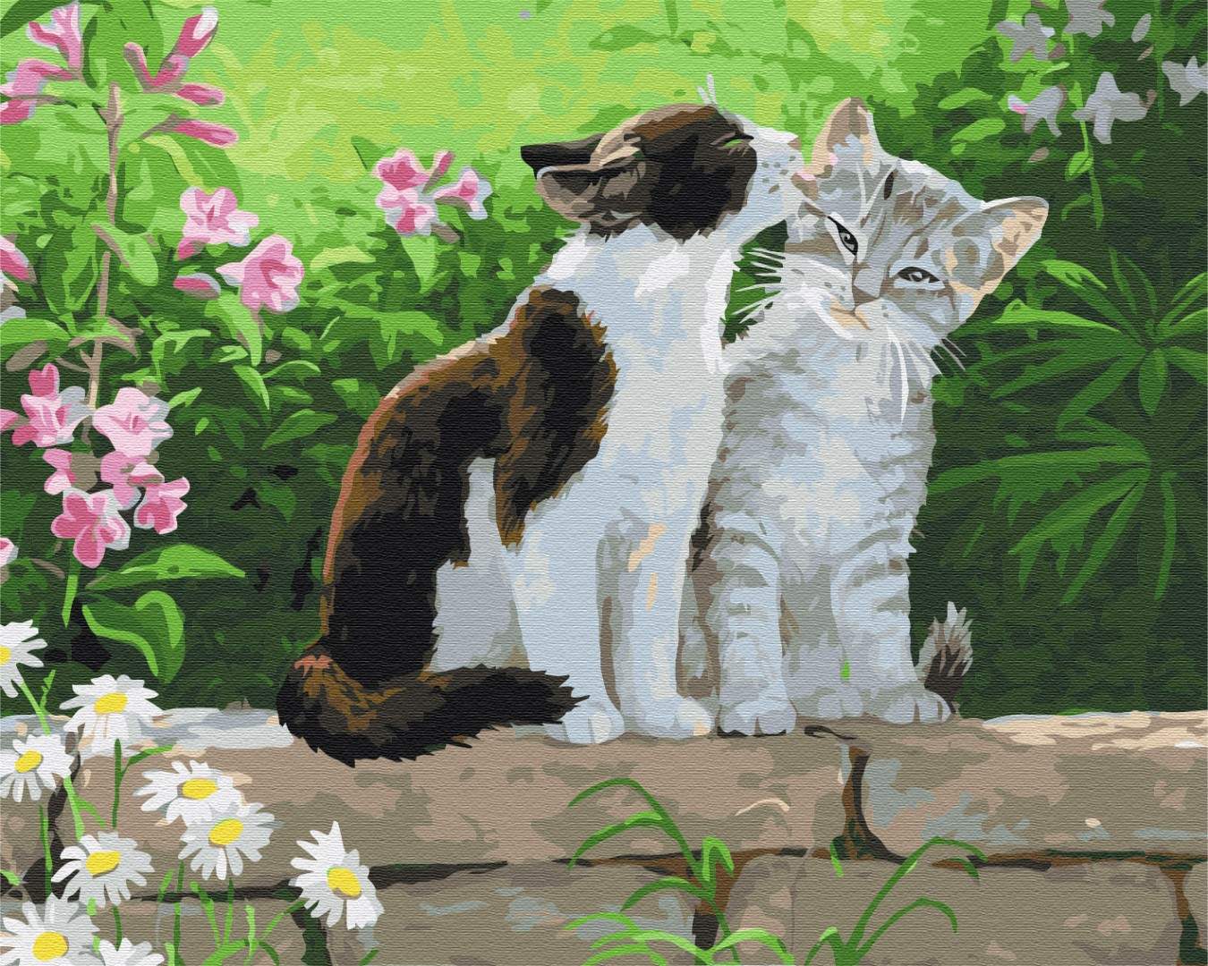Картина по номерам Пара котят (Brushme BS3251)