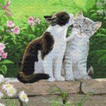 Картина по номерам Пара котят (Brushme BS3251)