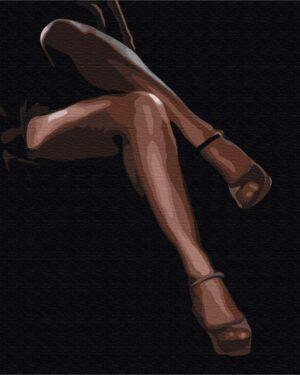 Картина по номерам Грациозная страсть (Brushme BS52462)