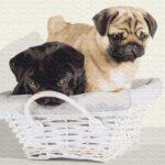 Картина по номерам Дружочки в корзине (Brushme BS52643)