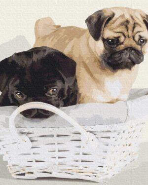 Картина по номерам Дружочки в корзине (Brushme BS52643)