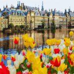 Алмазная картина-раскраска Дворец в тюльпанах (Brushme GZS1200)