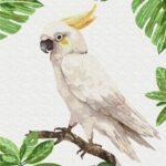 Картина по номерам Белый какаду (Brushme RBS1004)