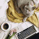 Картина по номерам Хоум офис (Brushme PGX36664)